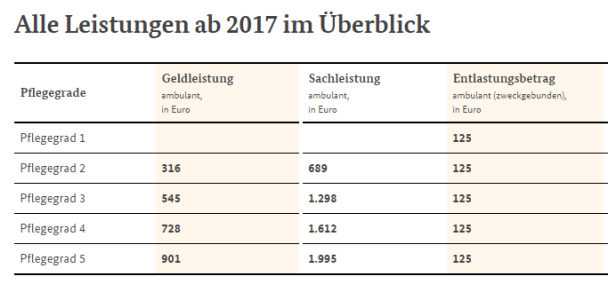Übersichtstabelle Pflegeleistungen nach Pflegegrad